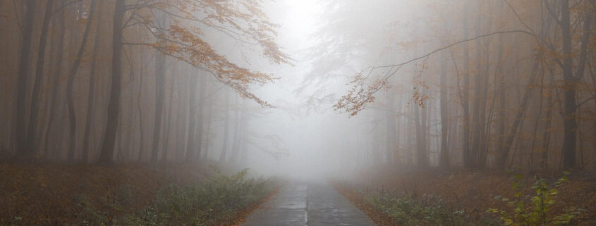 Eine neblige Straße durch einen herbstlichen Wald